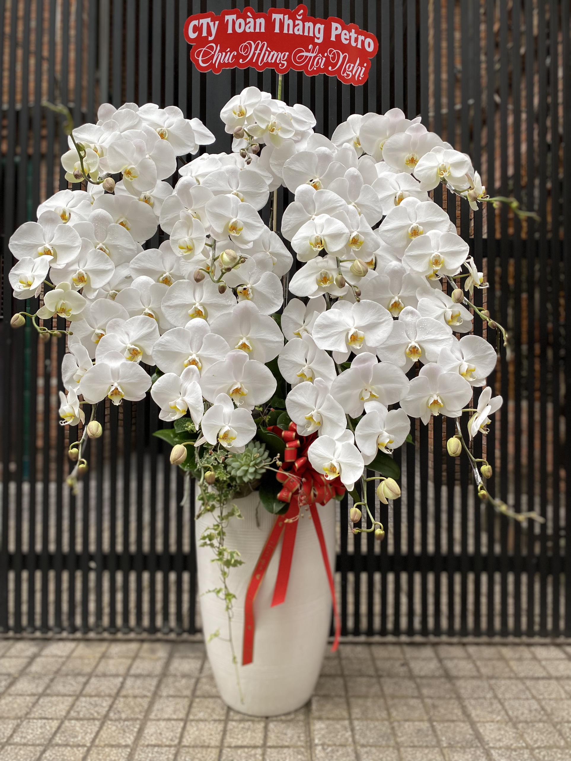 Hoa Lan Khai Trương 00023